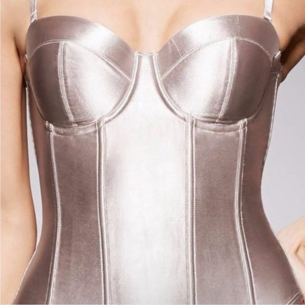 Fine Lines Satin Metallic Bustier Corset Top